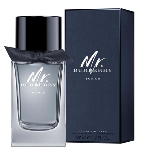 mr burberry cologne 100ml|mr burberry indigo 50ml.